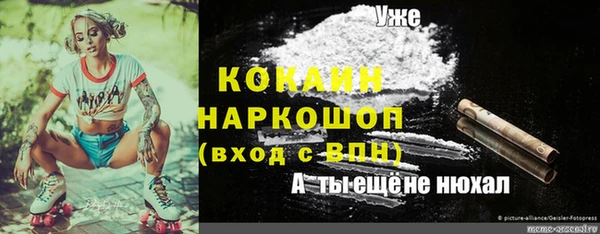 герыч Зеленокумск