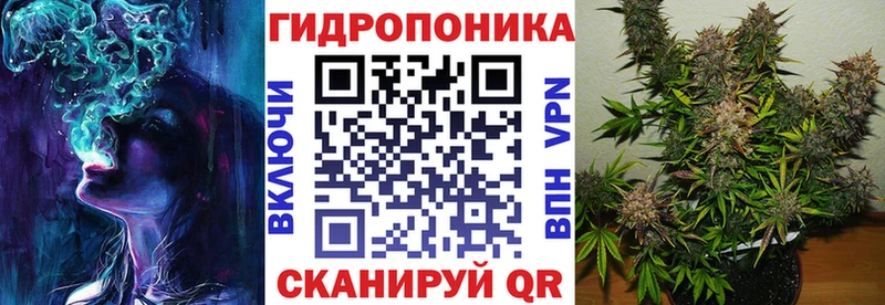 Бошки марихуана индика  Купить где  Энем 
